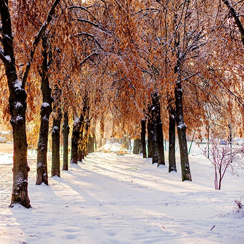 Alice VINCENT et Emmanuelle GROSJEAN